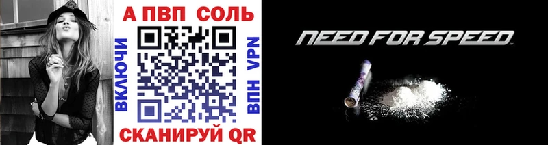 Alfa_PVP СК Дубна
