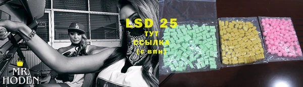 ГАЛЛЮЦИНОГЕННЫЕ ГРИБЫ Бугульма