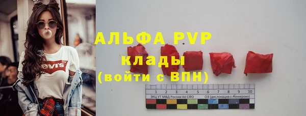 spice Бородино