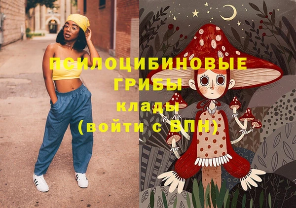spice Бородино