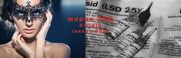 spice Бородино