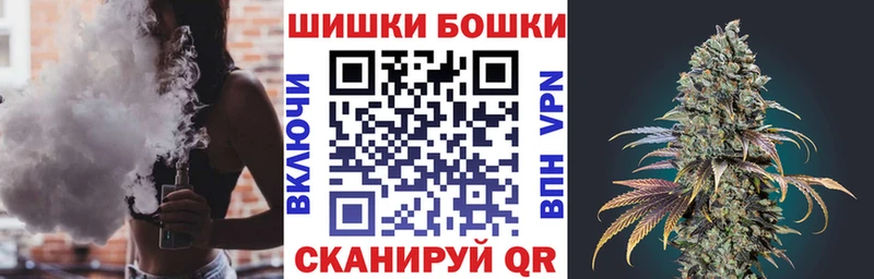 Канабис сатива Дубна